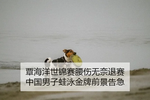 覃海洋世锦赛腰伤无奈退赛 中国男子蛙泳金牌前景告急